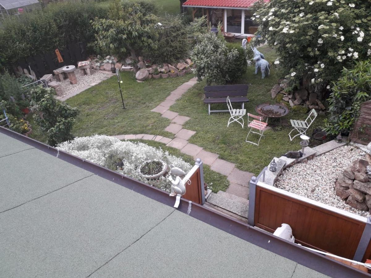 Вилла Ferienhaus Schulenberg Фридрихсбрун Экстерьер фото